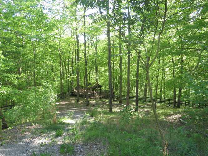 Listing Image 27