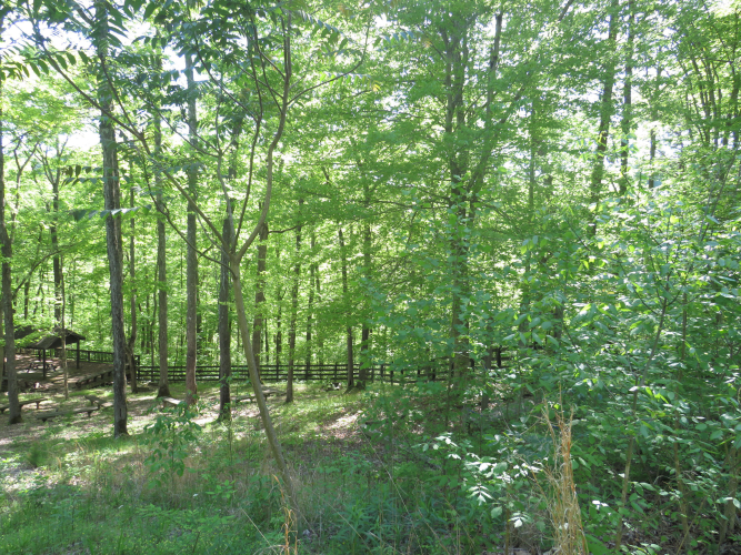 Listing Image 30