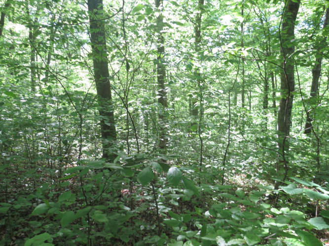 Listing Image 31