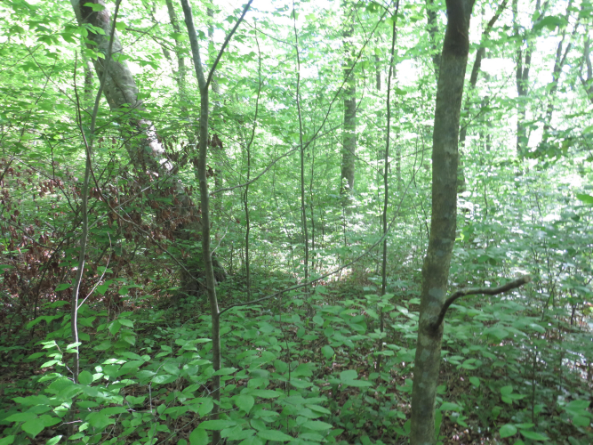 Listing Image 32
