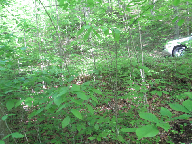 Listing Image 33