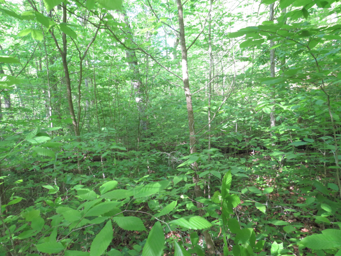 Listing Image 34