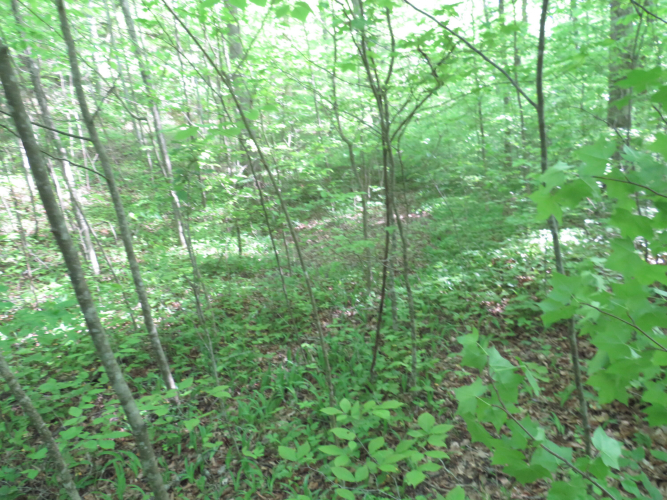 Listing Image 36
