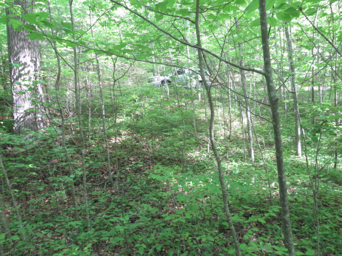 Listing Image 37