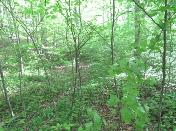 Listing Image 38
