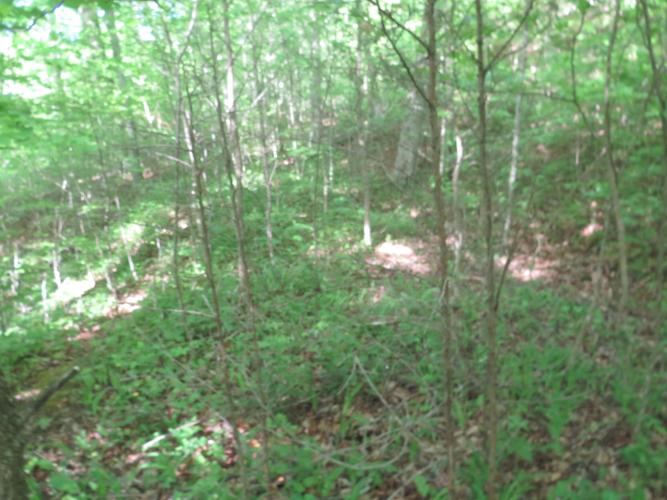 Listing Image 39