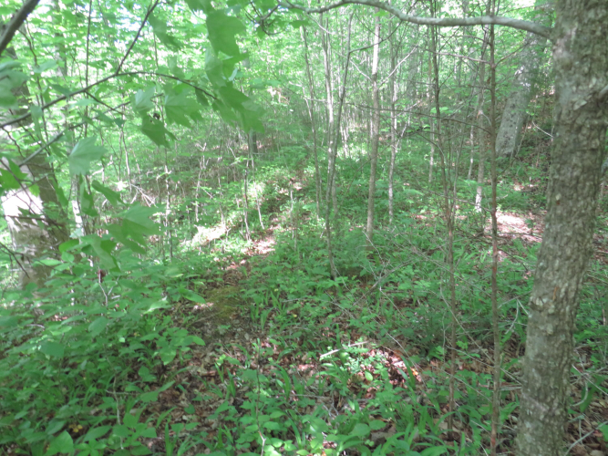 Listing Image 40