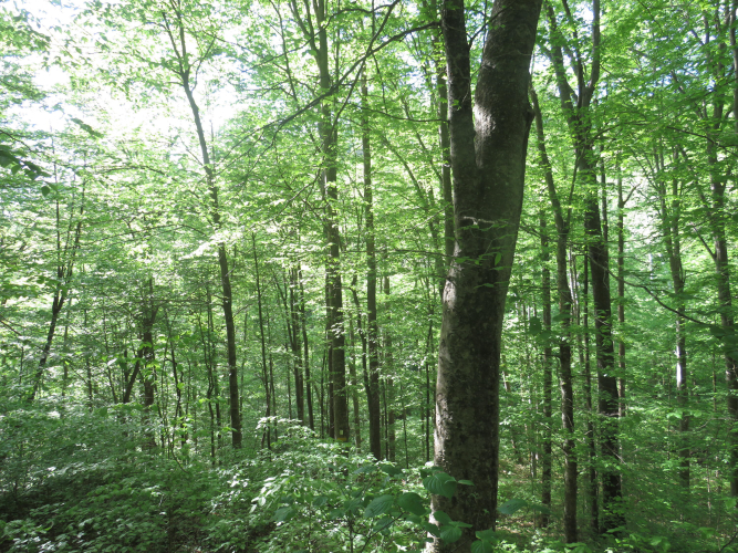 Listing Image 41