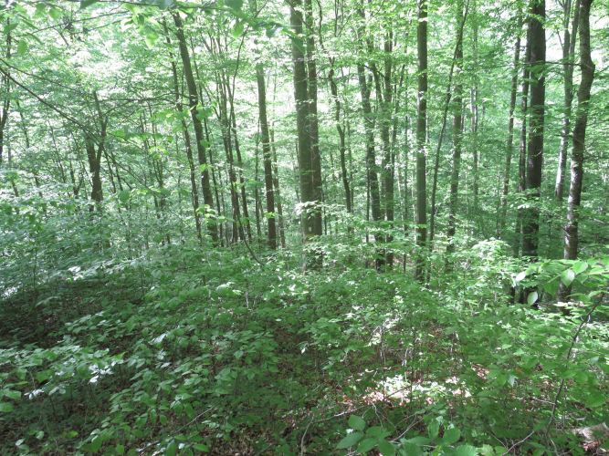 Listing Image 43
