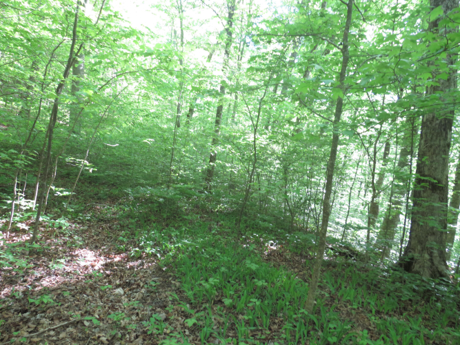 Listing Image 45