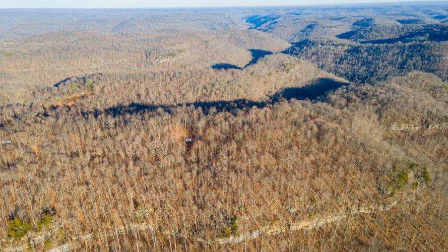 Listing Image 9