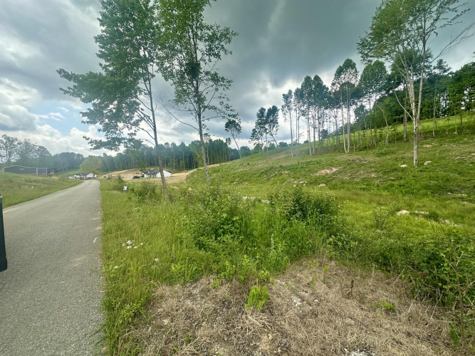 Listing Image 14