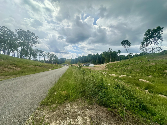 Listing Image 17