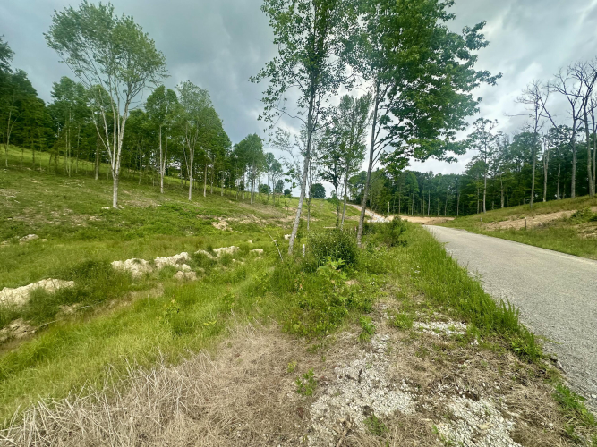 Listing Image 18