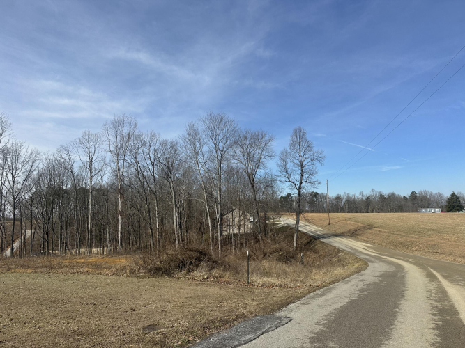 Listing Image 11