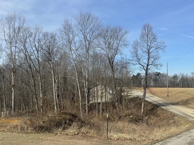 Listing Image 13