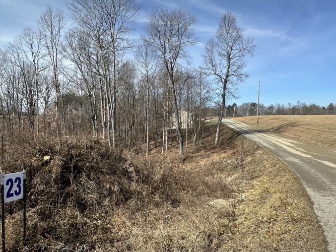 Listing Image 6