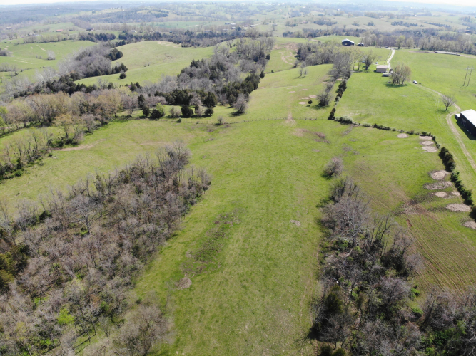 Listing Image 16