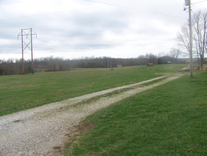 Listing Image 48