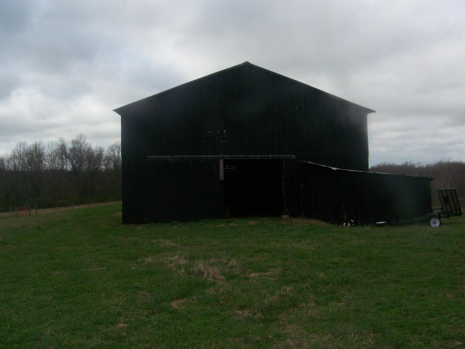 Listing Image 49