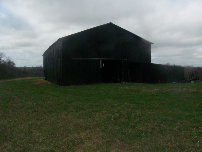 Listing Image 50