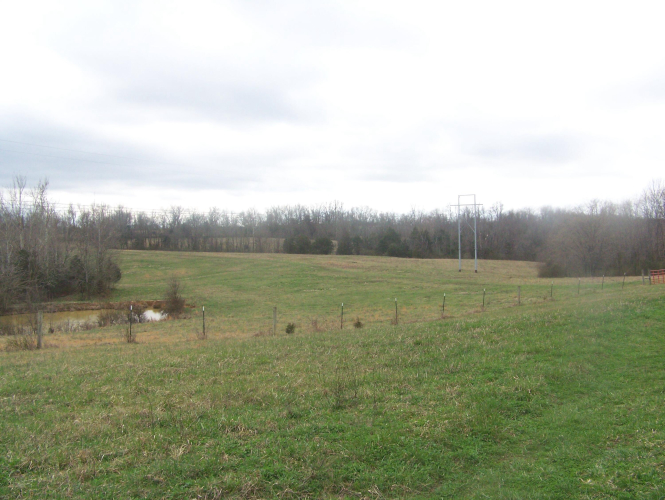 Listing Image 51