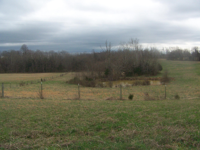 Listing Image 52