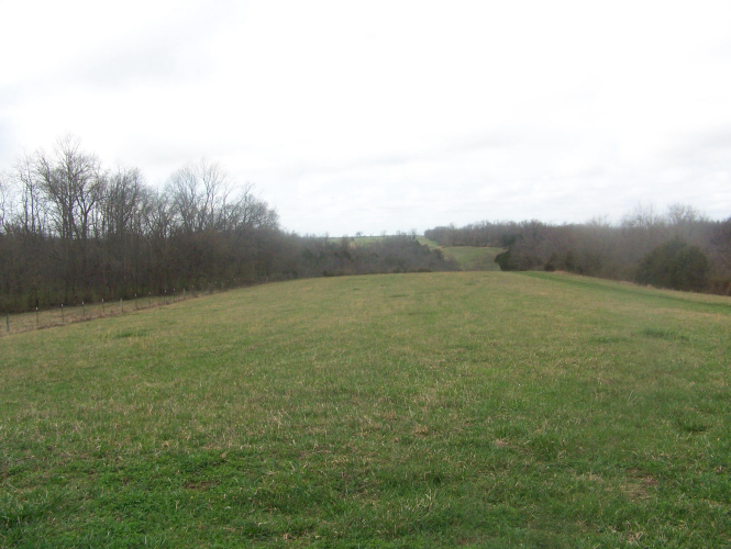 Listing Image 53