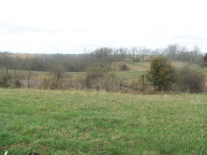 Listing Image 54