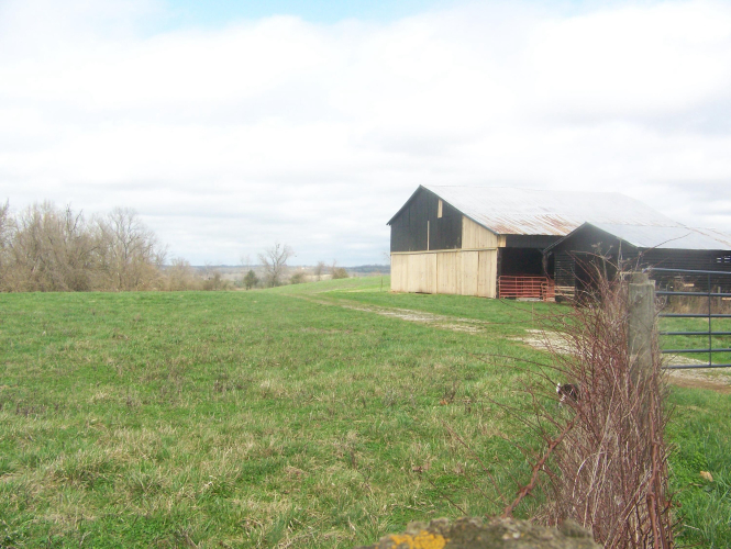 Listing Image 56