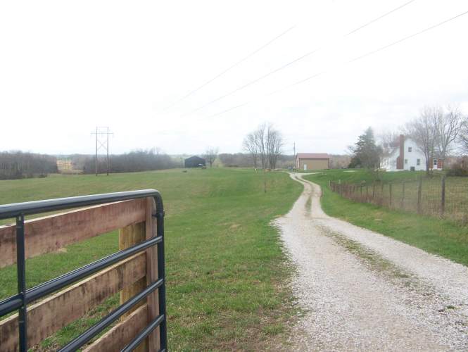 Listing Image 63