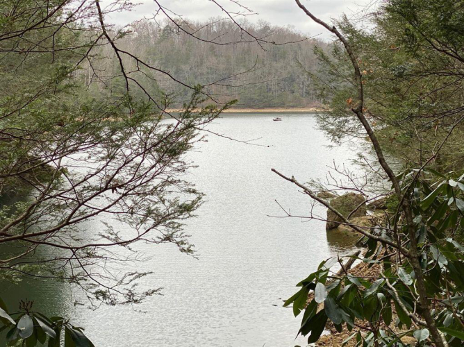 Listing Image 101