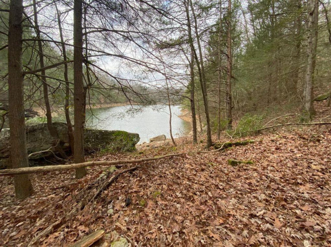 Listing Image 102