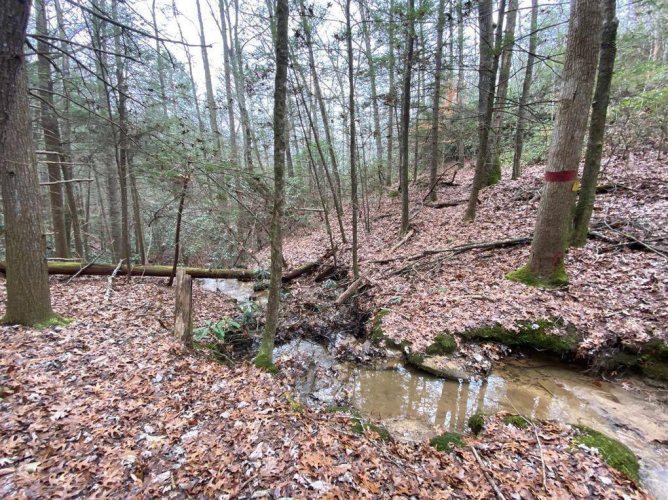 Listing Image 104