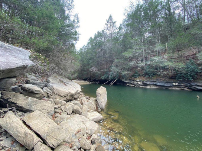 Listing Image 108