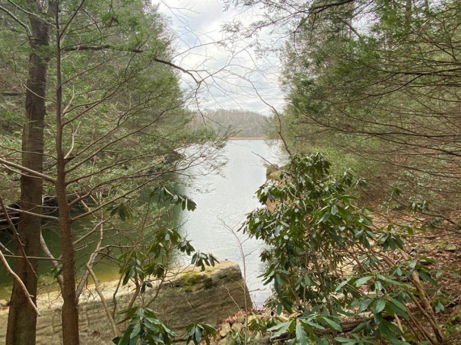 Listing Image 109