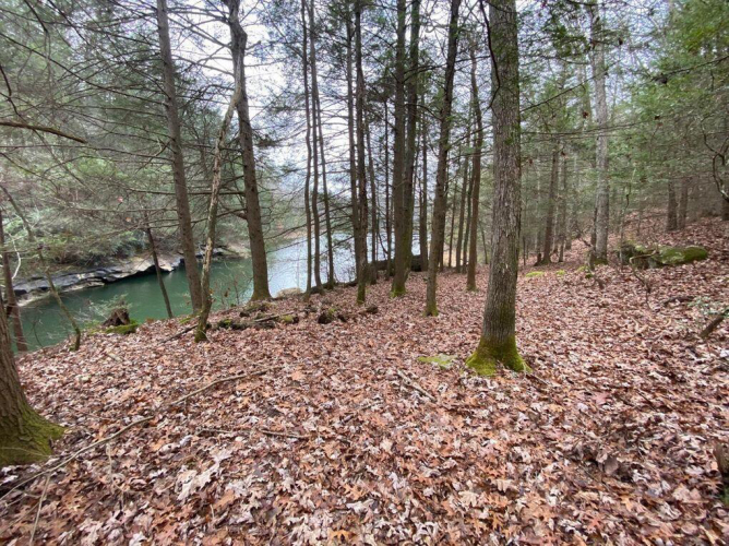 Listing Image 111
