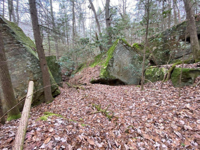 Listing Image 112