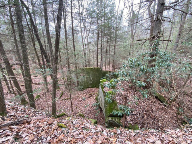 Listing Image 116