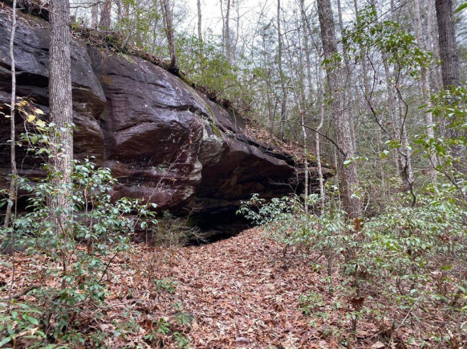 Listing Image 118