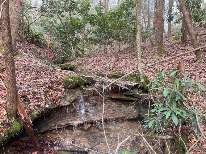 Listing Image 121