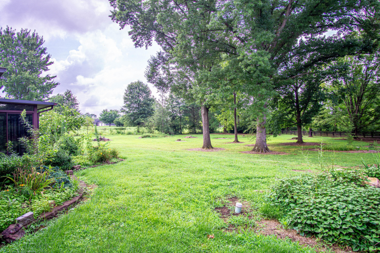 Listing Image 38