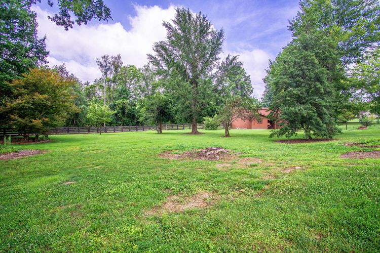Listing Image 41