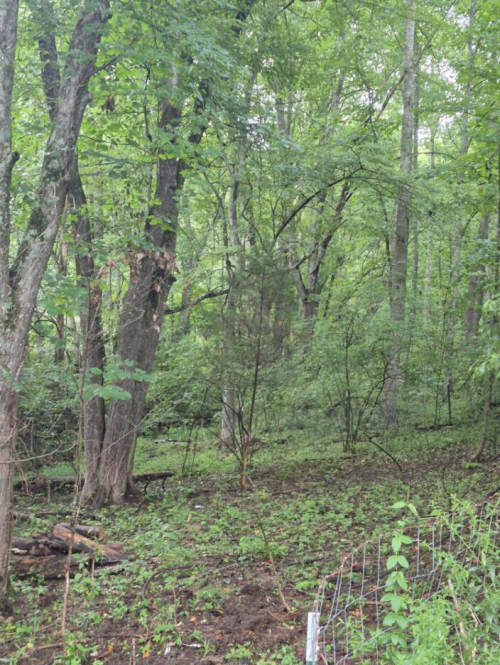 Listing Image 16