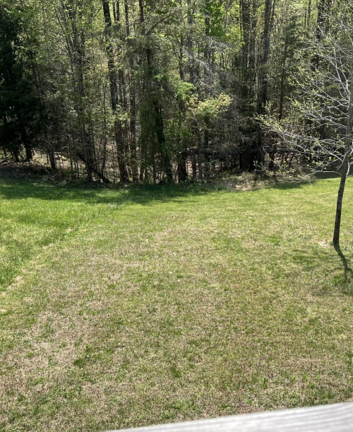 Listing Image 42