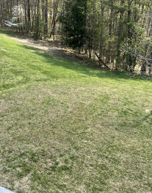 Listing Image 43