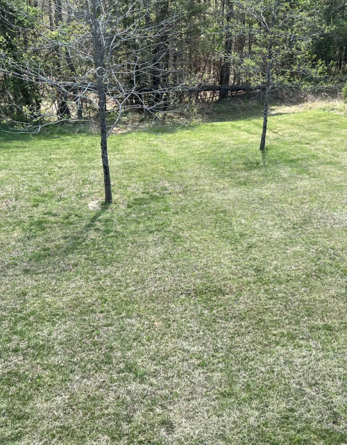 Listing Image 44