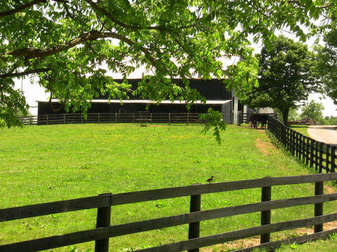 Listing Image 70
