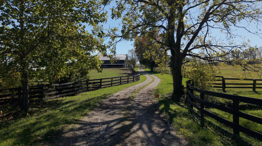 Listing Image 71