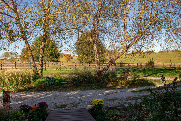 Listing Image 74